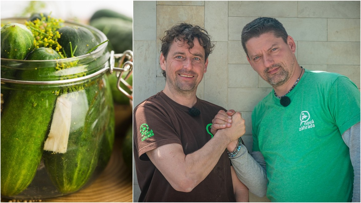 Inšpirujte sa tipom od skúsených záhradkárov: Iný nálev už do uhoriek ani nebudete robiť!