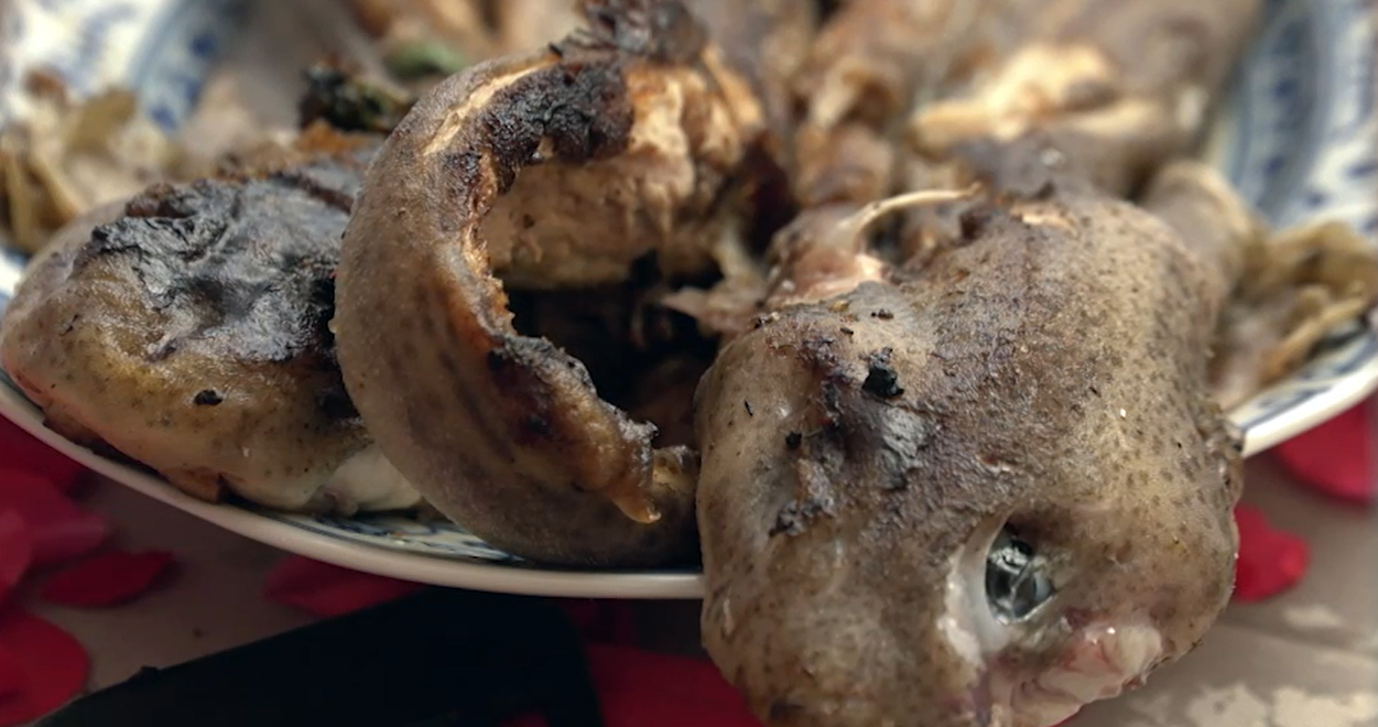 Hlavné jedlo: Dúfam, že ho nestretneš