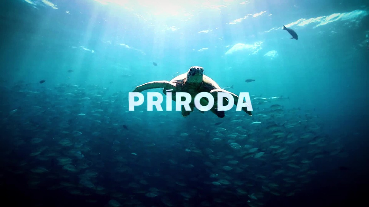 Prichádza JOJ Svet – slovenská dokumentárna stanica