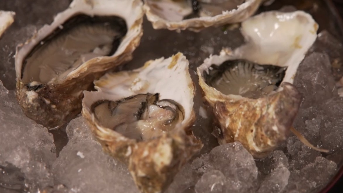 Predjedlo: Dlouhá noc