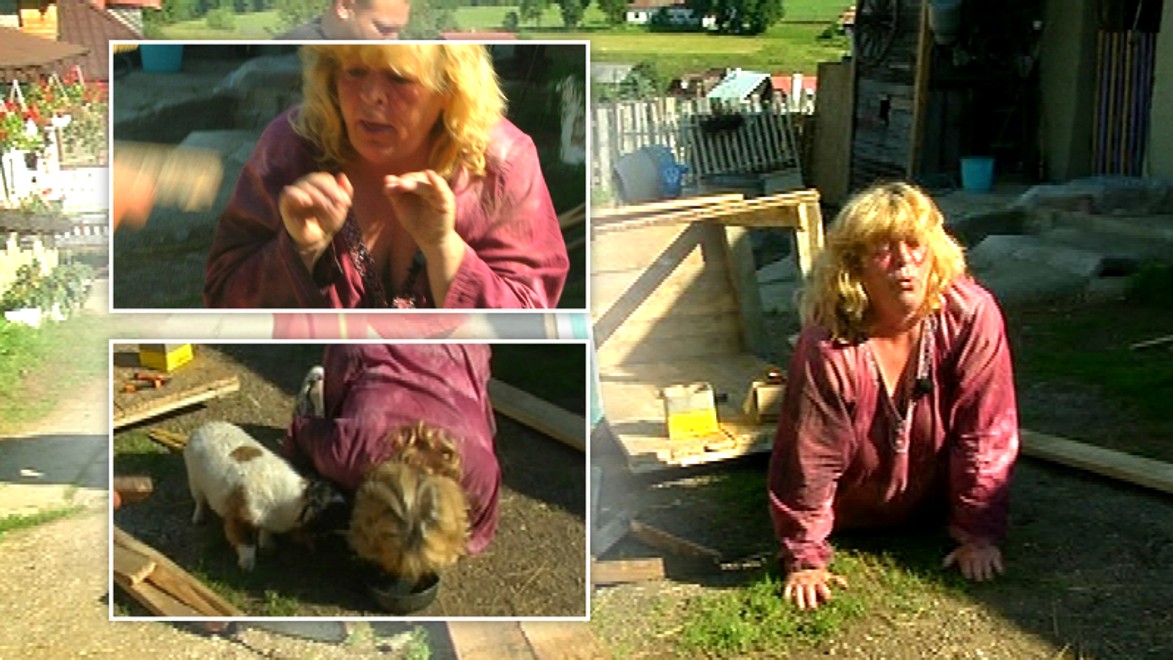 Dana nemá hranice! Ako pes skočí na štyri a strčí hlavu do psej misky!