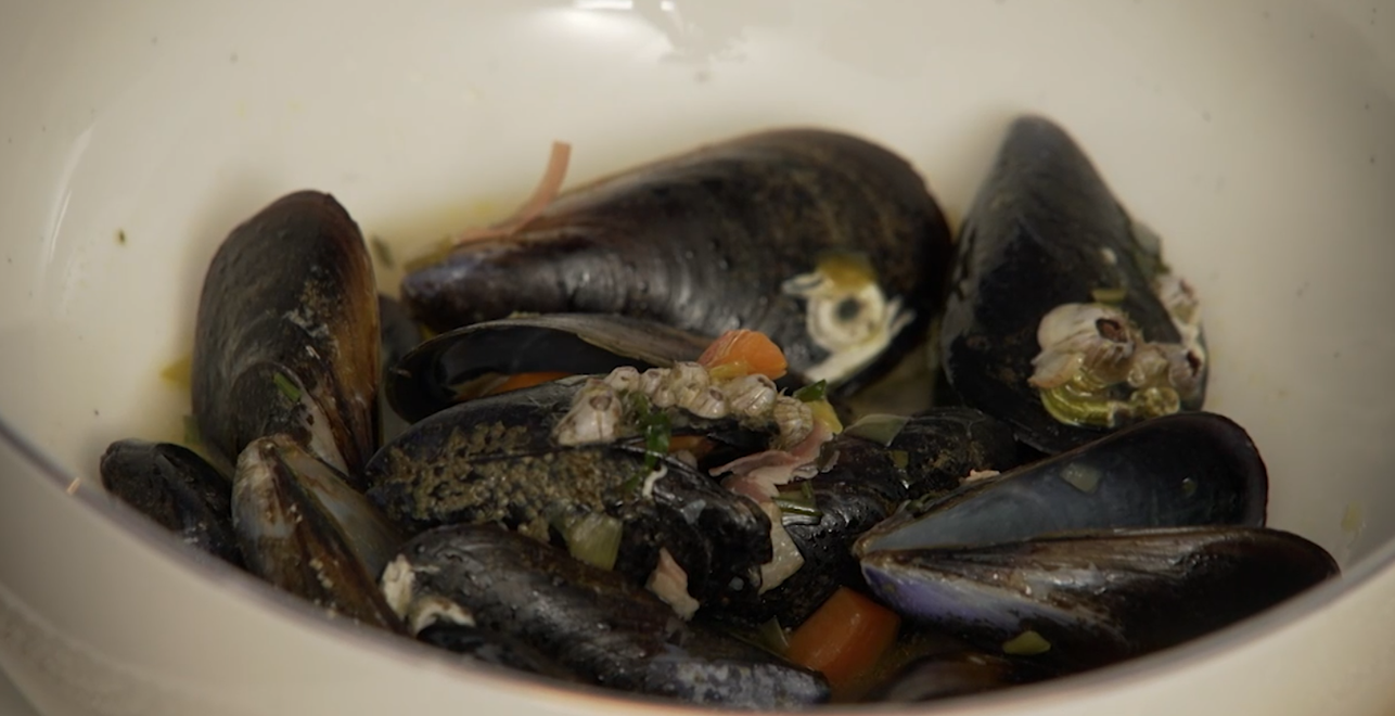 Hlavné jedlo: Casanova na plytčine