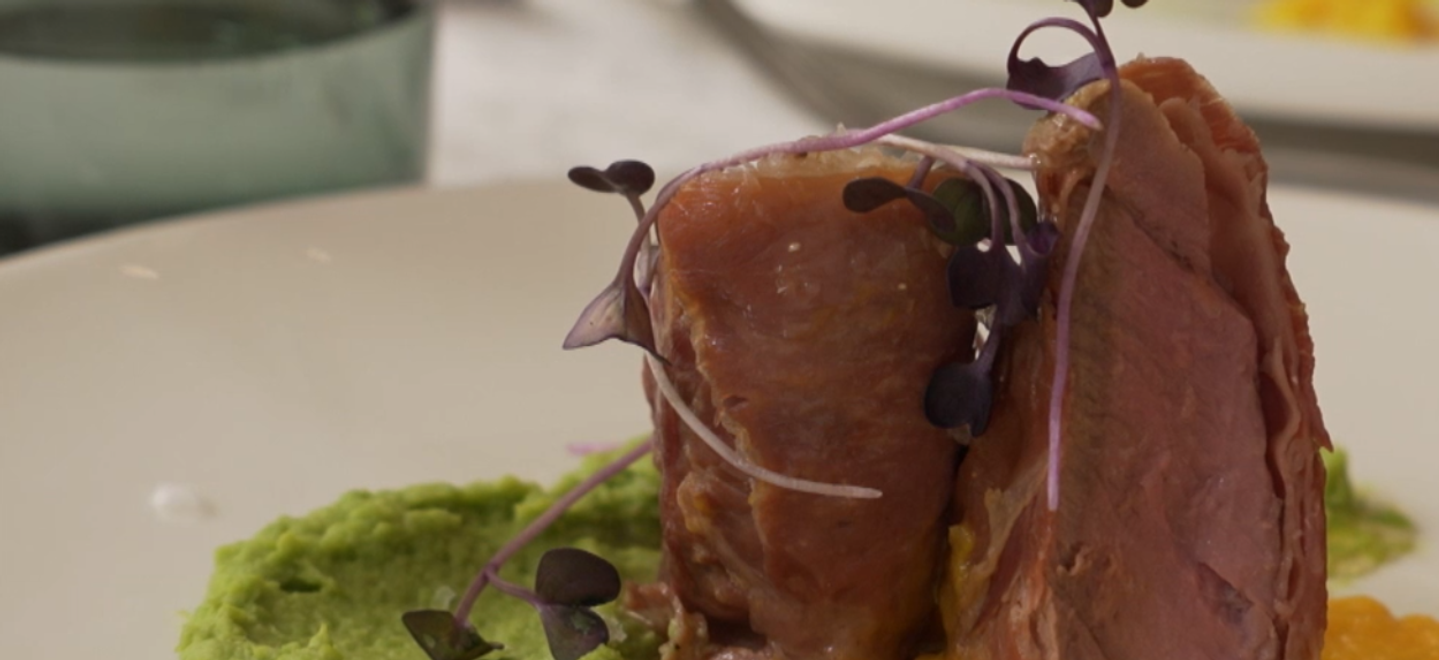 Hlavné jedlo: Semafor