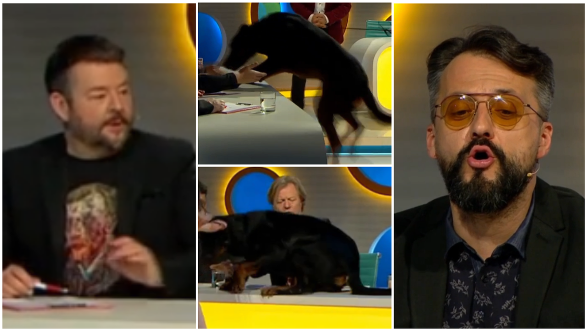 Ešte teraz sa smejeme: Pes nečakane vyskočil na stôl a zaskočil hádačov!