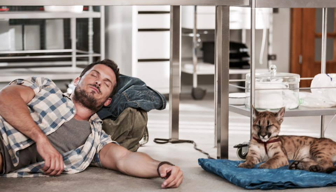 Diváci na adresu ZOO nešetria superlatívmi: Vaše komentáre na facebooku nám urobili obrovskú radosť