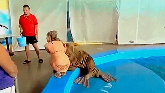 Kreslené hrdinovia sex videa